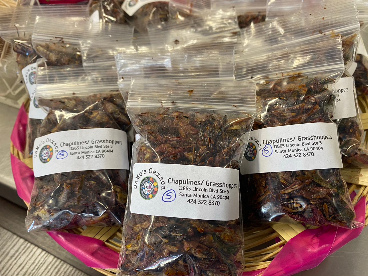 Grasshoppers/ Chapulines.